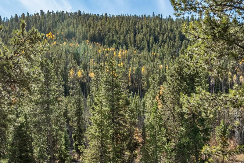 102 Lake Ridge Circle Unit# 1892, Keystone, CO 80435, Dillon, Colorado, United States. - Photo 29
