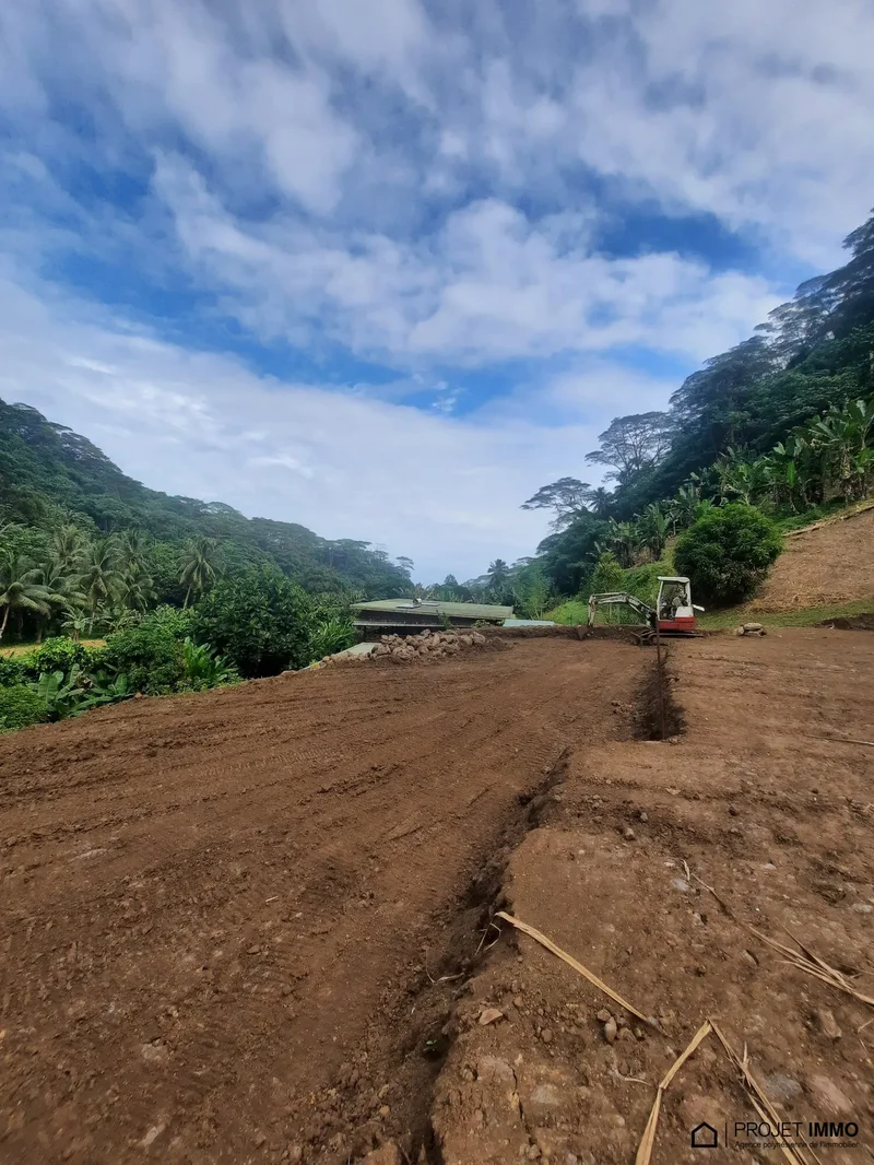 Vairao, Vairao, Taiarapu-Ouest, Windward Islands, French Polynesia. - Photo 29
