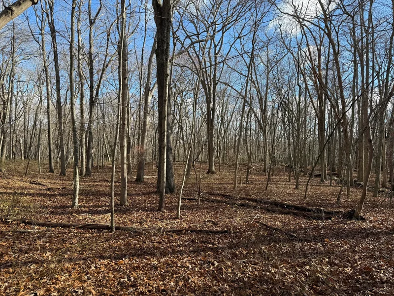 Chesterfield Road, East Lyme, CT 06333, East Lyme, Connecticut, United States. - Photo 9