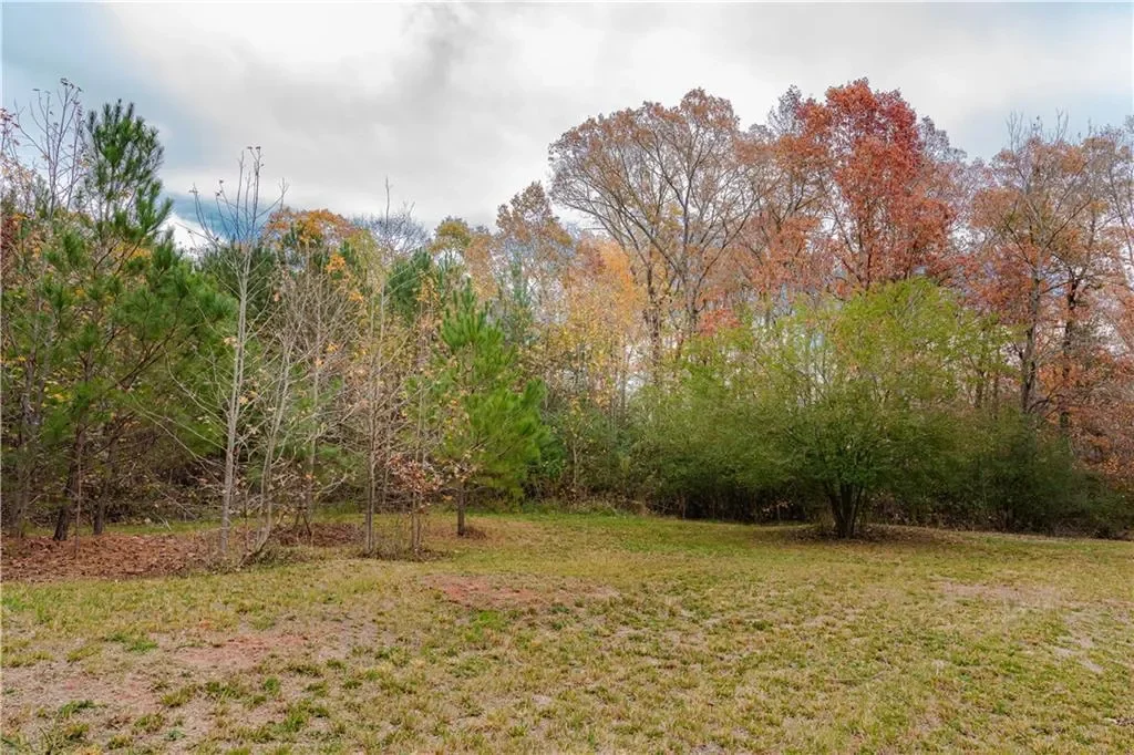 8105 Jot Em Down Road, Gainesville, Georgia, United States. - Photo 9