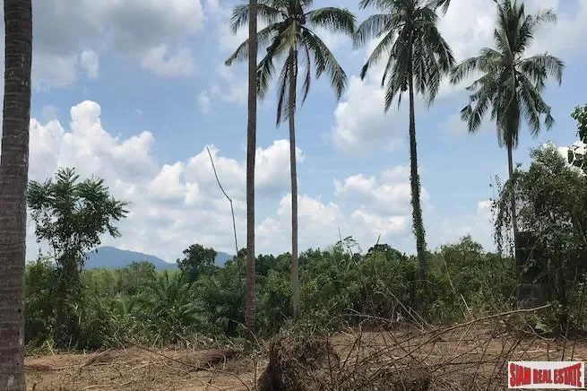 Phang Nga,, Thai Mueang, Phang-nga, Thailand. - Photo 3