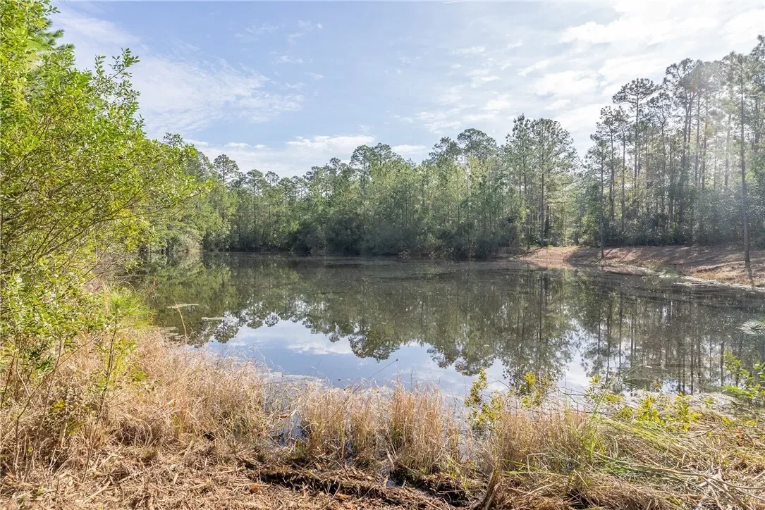 0 US 17 Highway, Waverly, GA 31565, Waverly, Georgia, United States. - Photo 18