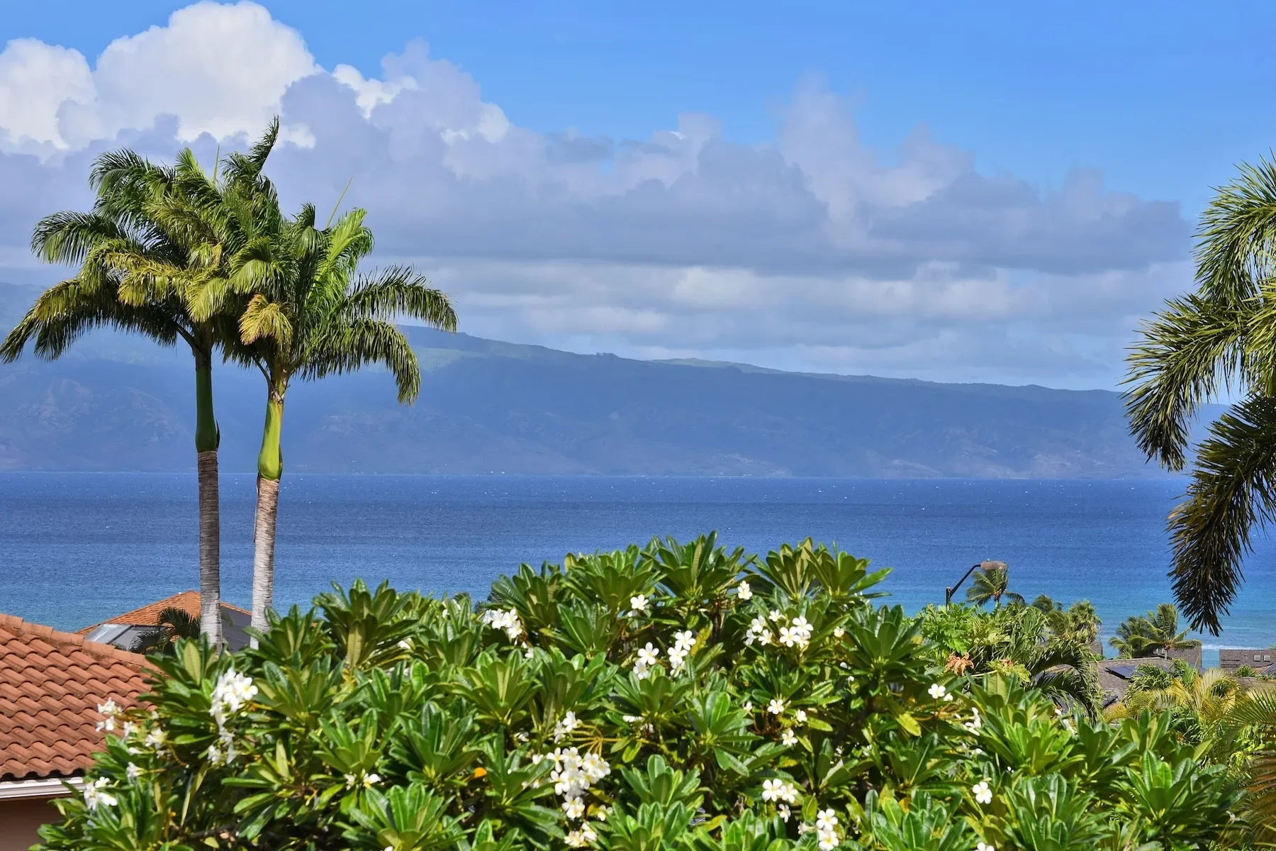 14 Fern Place, Lahaina, HI 96761, Lahaina, Hawaii, United States. - Photo 37