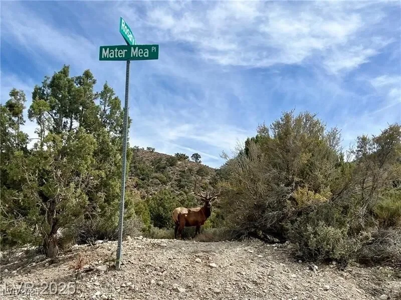 14975 Mater Mea Place, Las Vegas, Nevada, United States. - Photo 61
