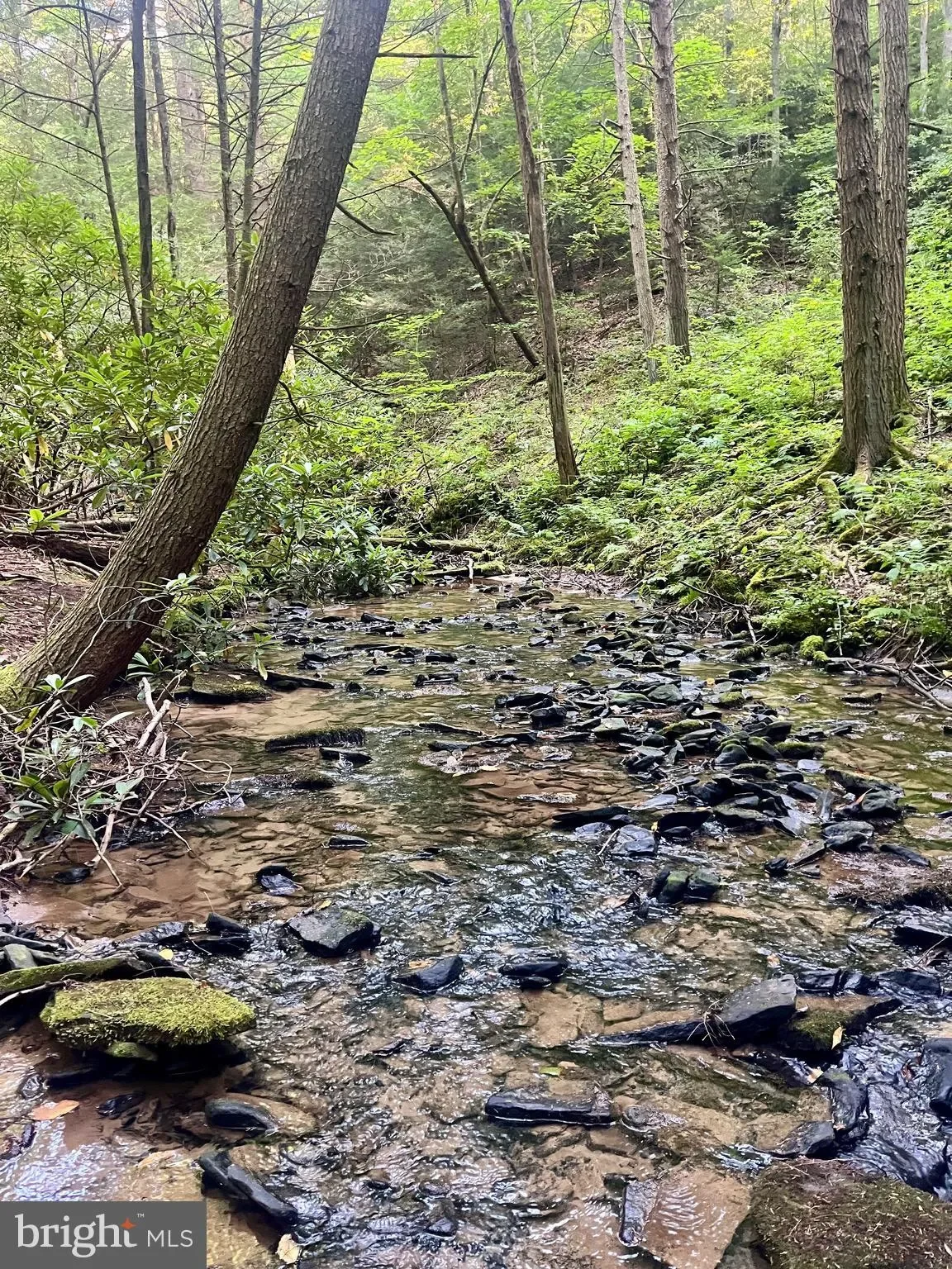6 BEECH CREEK MOUNTAIN RD ROAD, BEECH CREEK, PA 16822, Monument, Pennsylvania, United States. - Photo 2