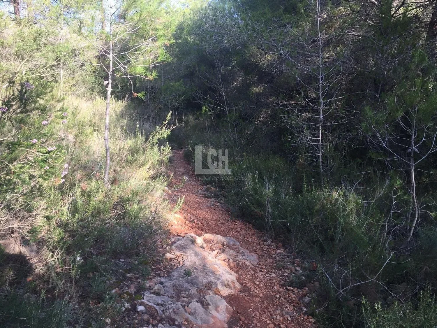 Favara, Valencian Community, Spain. - Photo 11