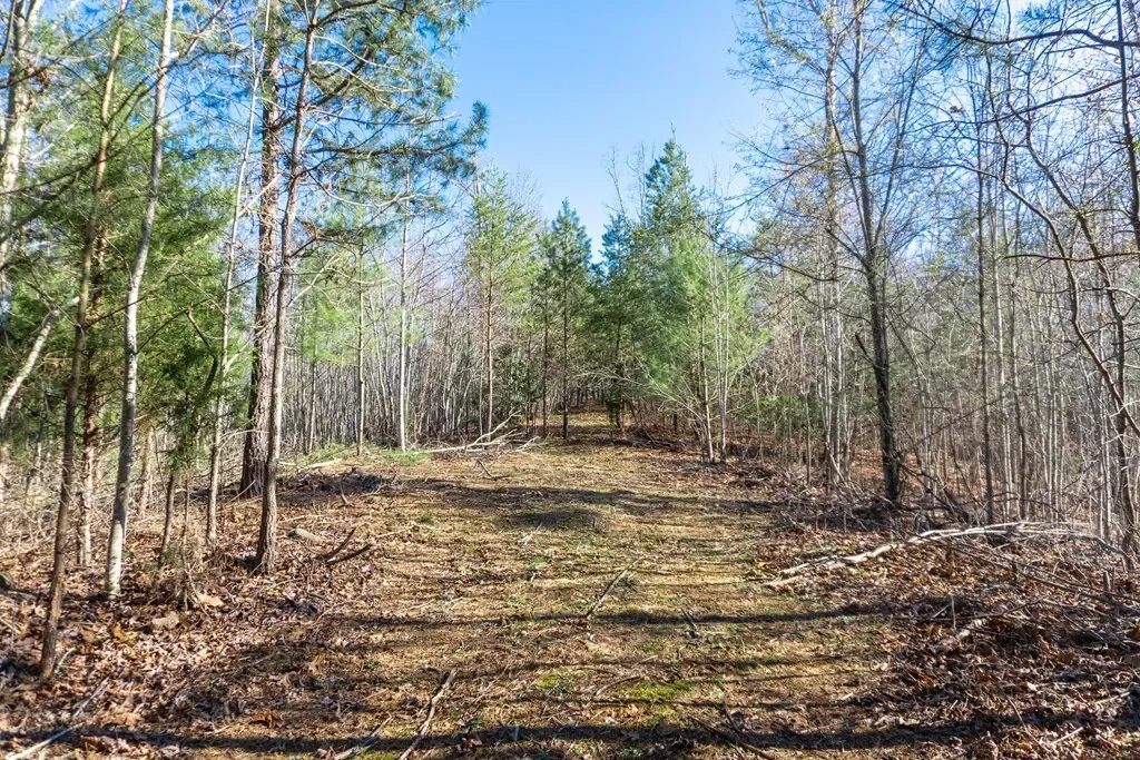 41AC Loving Road, Blairsville, Georgia, United States. - Photo 24