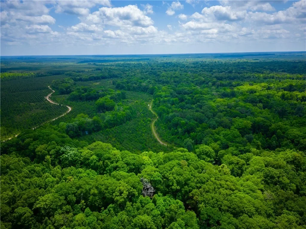 0 East River Road, Other, GA 31544, Jacksonville, Georgia, United States. - Photo 26