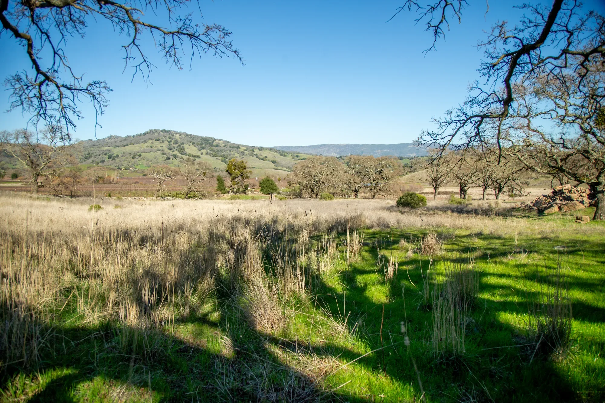 3576 Monticello Road , Napa, CA 94558, Napa, California, United States. - Photo 15