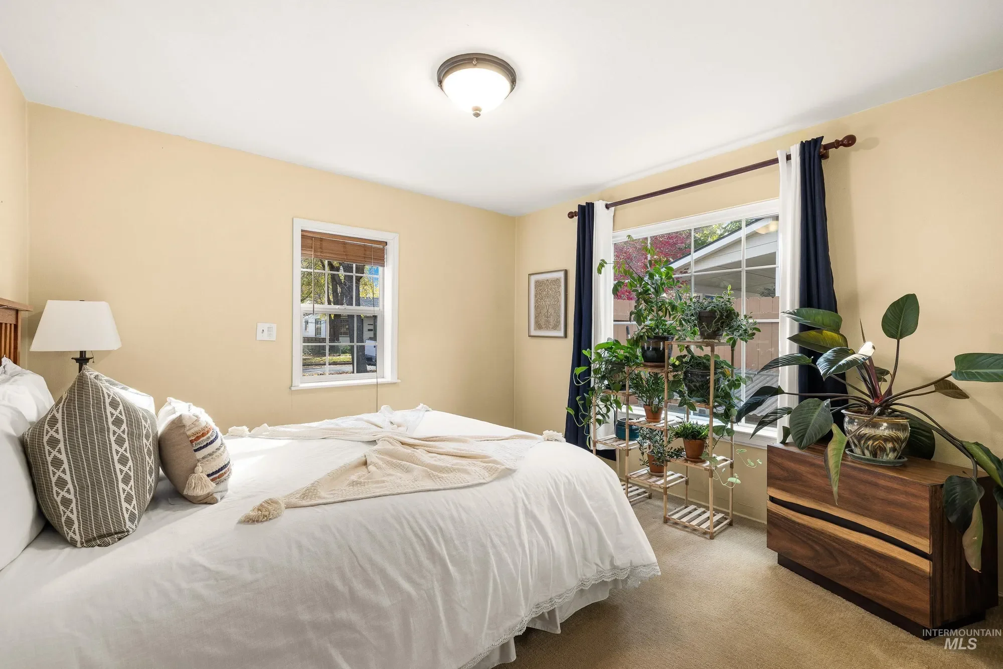 Gallery photo 7