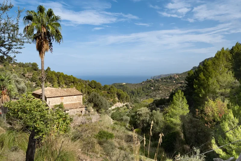 Deia, Balearic Islands, Spain. - Photo 24