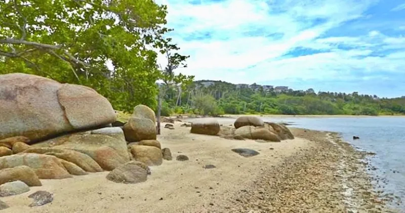 Koh Samui, Surat Thani, Koh Samui, Koh Samui, Surat Thani, Thailand. - Photo 4
