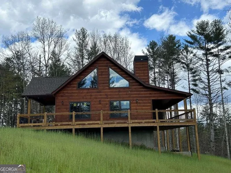 450 Twin Springs Road, Mineral Bluff, GA 30559, Mineral Bluff, Georgia, United States. - Photo 40