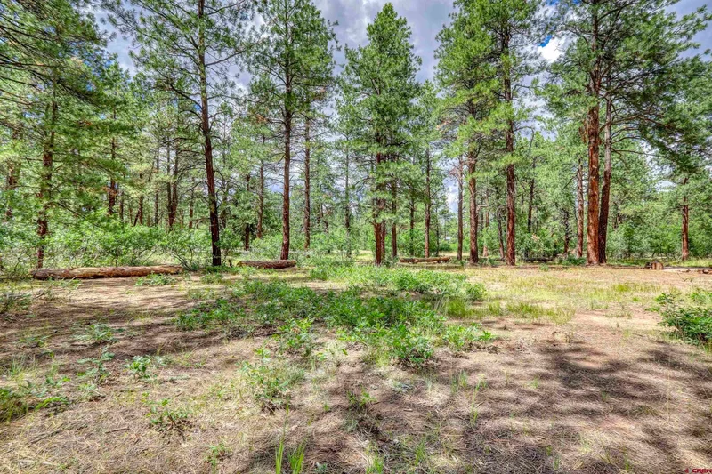 3700A Co Rd 600 lot 3, Pagosa Springs, CO 81147, Pagosa Springs, Colorado, United States. - Photo 30