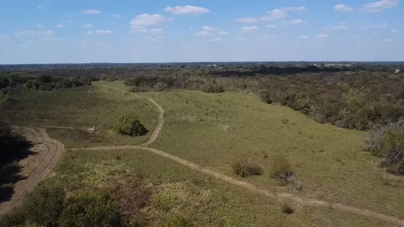 Tbd SW CR 3160, Dawson, TX 76639, Hubbard, Texas, United States. - Photo 19