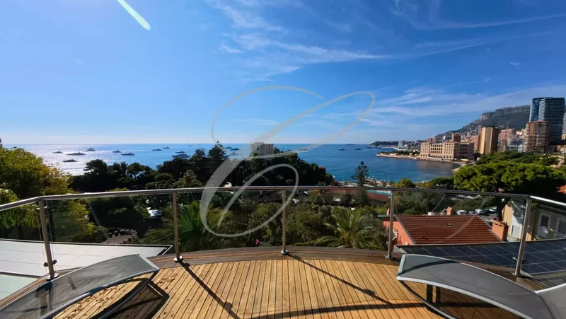 ROQUEBRUNE CAP MARTIN - VILLA PRIVATE DOMAIN