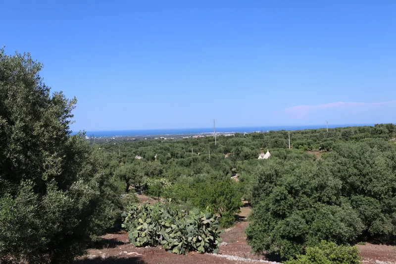 72015 Fasano, BR, Italy, Fasano, Apulia, Italy. - Photo 34