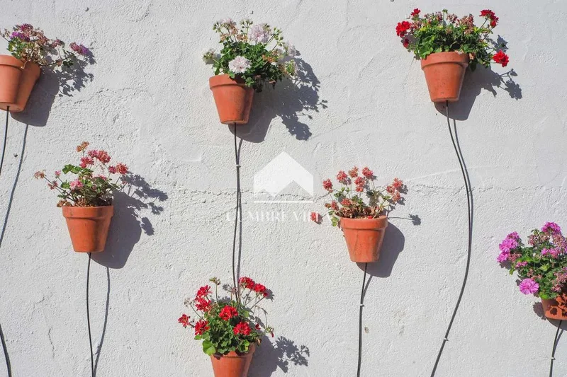 Lecrín, Lecrín, Granada, Lecrín, Lecrin, Andalusia, Spain. - Photo 23