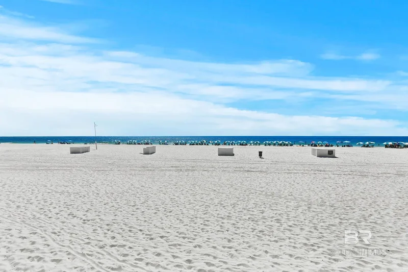 26350 Perdido Beach Boulevard #C2505, Orange Beach, AL 36561, Orange Beach, Alabama, United States. - Photo 52