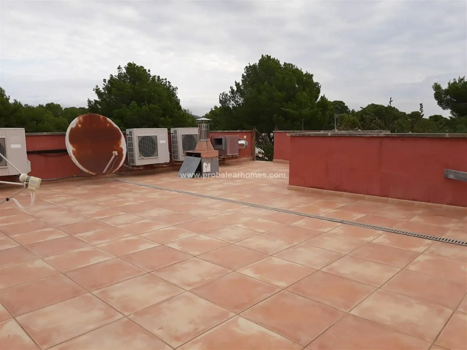 EL TORO, CALVIA, Baleares, CALVIA, Santa Ponsa, Balearic Islands, Spain. - Photo 19