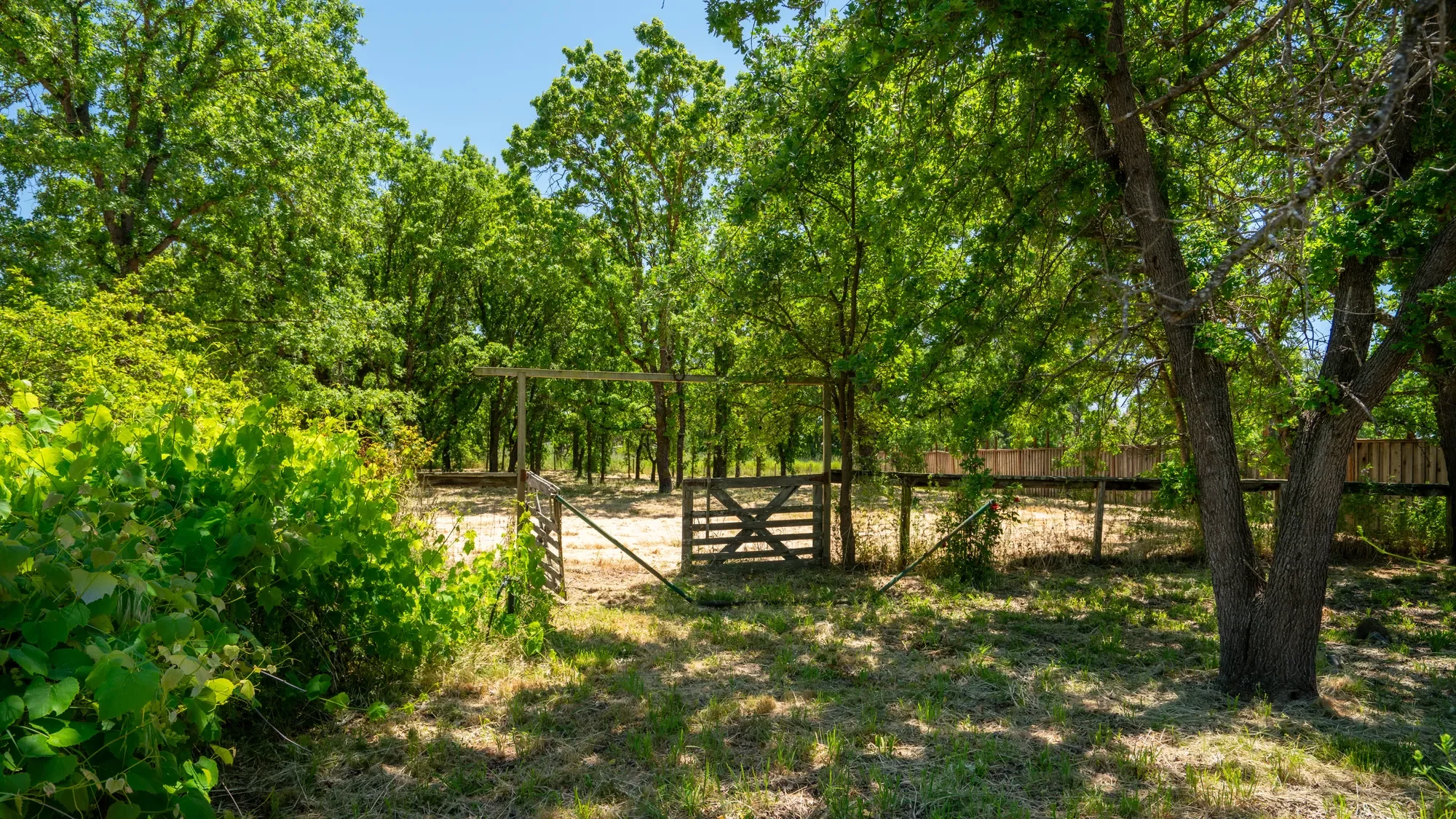 4020 Madera Avenue , Santa Rosa, CA 95407, Santa Rosa, California, United States. - Photo 3
