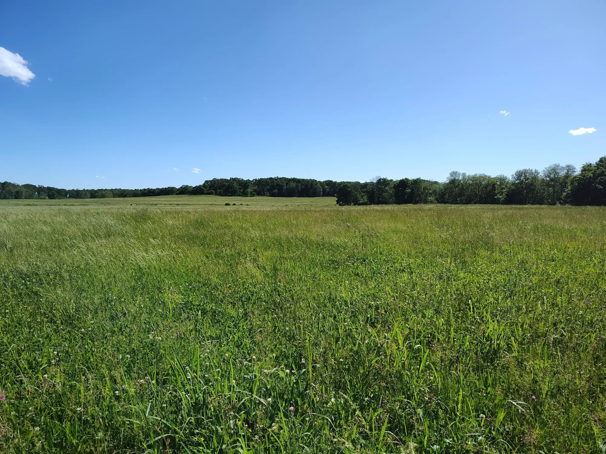 1898 E 332nd Road, Polk, MO 65727, Bolivar, Missouri, United States. - Photo 77