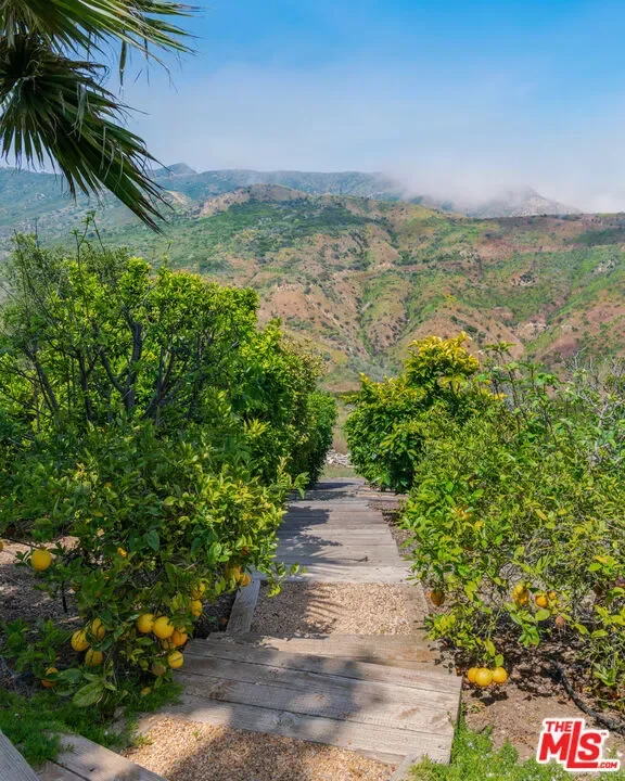 2900 Corral Canyon Road, Malibu, California, United States. - Photo 18