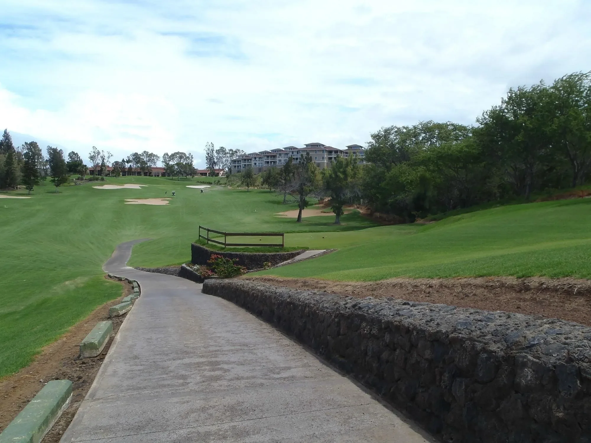 Residential Waikoloa