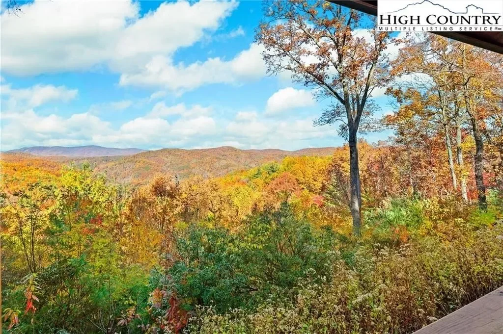 305 Fox Cove Road, Ferguson, NC 28624, Ferguson, North Carolina, United States. - Photo 42
