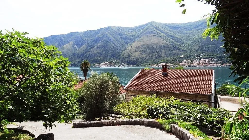 Kotor, Dobrota, Kotor Municipality, Montenegro. - Photo 4