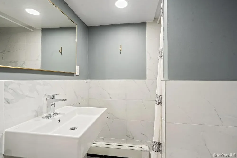 116 Sperry Blvd Boulevard, New Hyde Park, New York, United States. - Photo 28