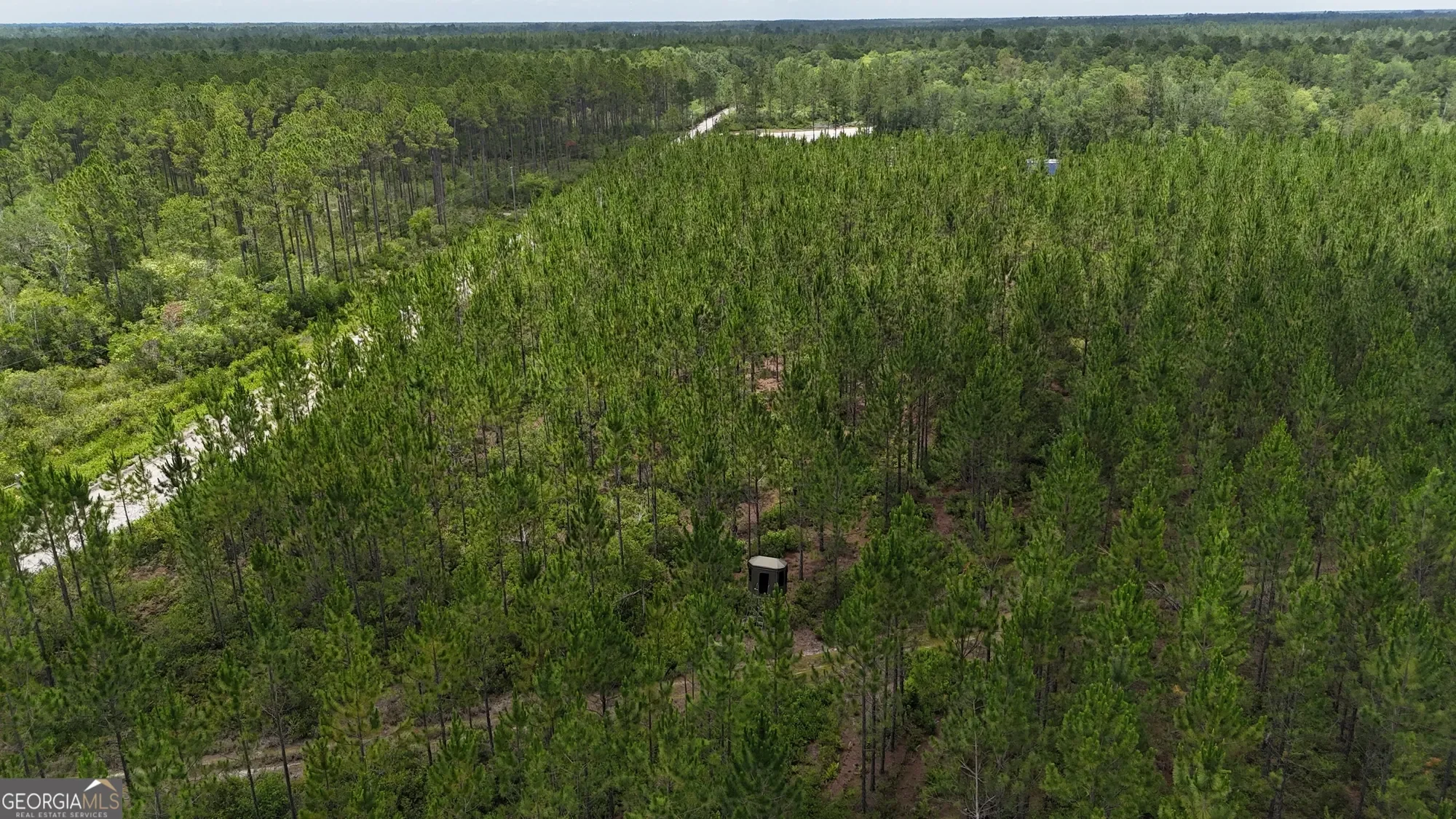 0 Fire Tower Road, Manor, GA 31550, Manor, Georgia, United States. - Photo 2