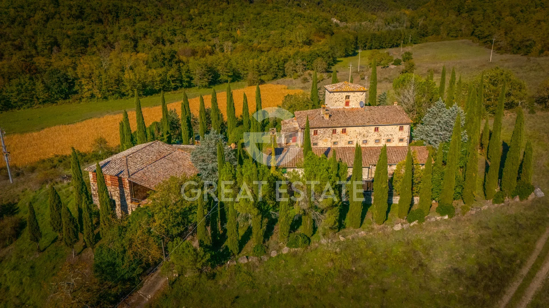 Tuscany, Gaiole in Chianti, Tuscany, Italy. - Photo 14