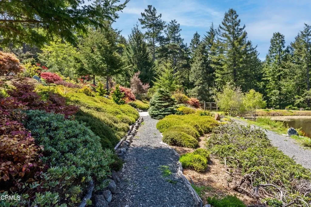 40811 Eureka Hill Road, Point Arena, California, United States. - Photo 61