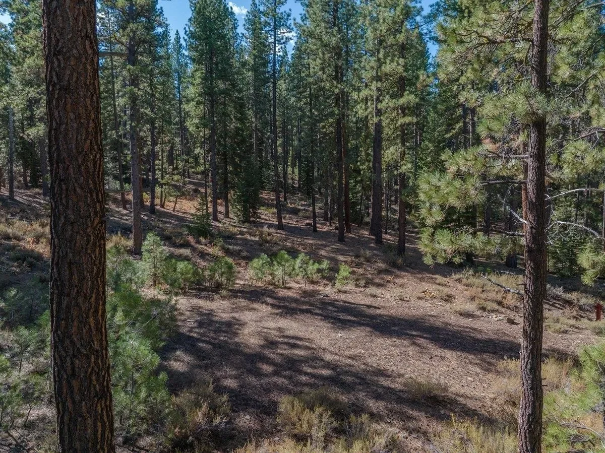 10794 Regency Circle, Truckee, California, United States. - Photo 3
