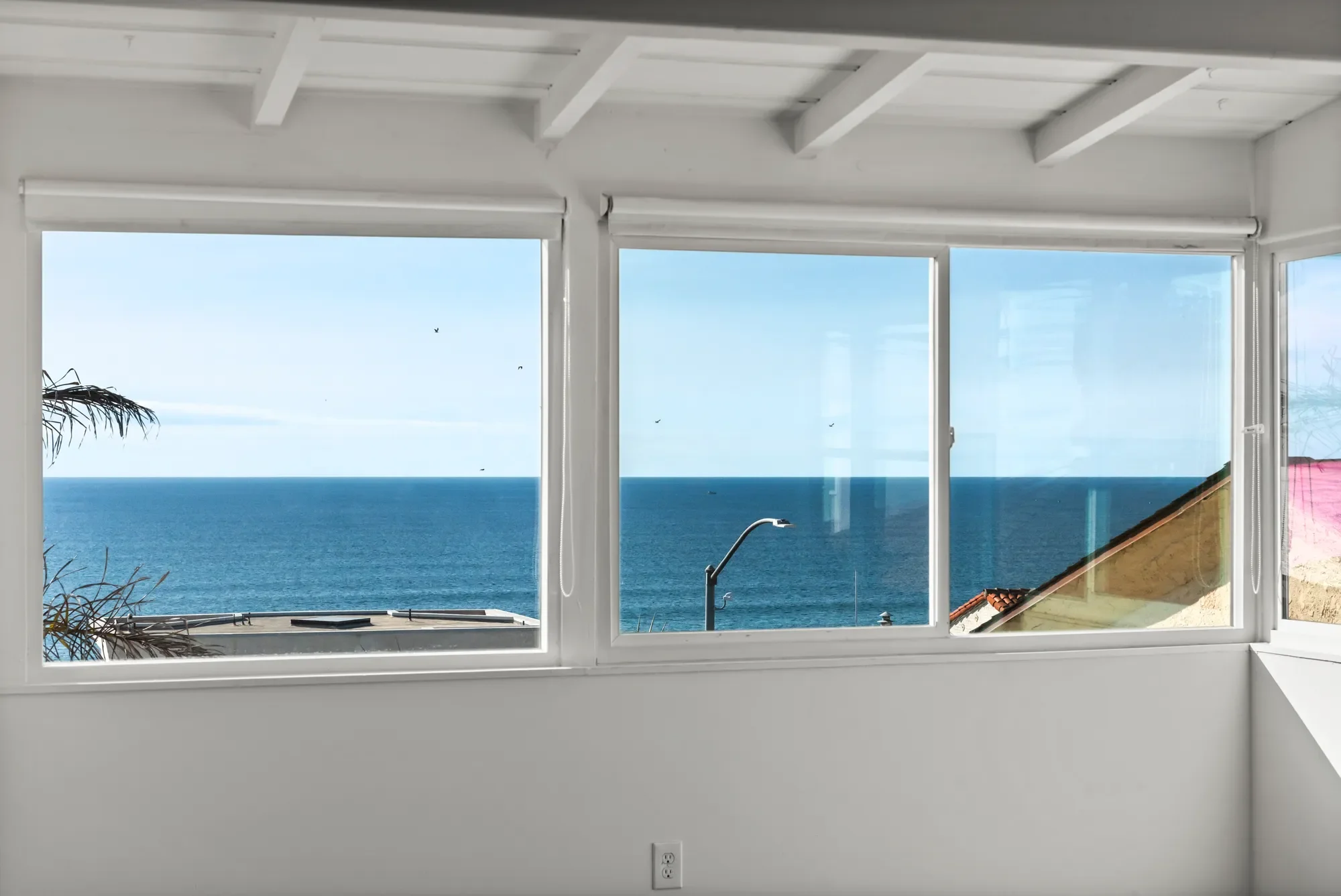 Gallery photo 4