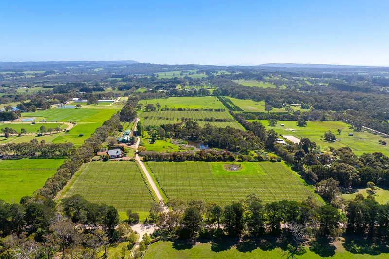 437 Stumpy Gully Road, Balnarring, VIC 3926, Balnarring, Victoria, Australia. - Photo 23