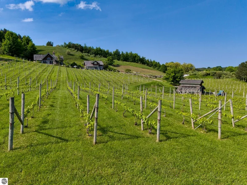Willow Winery & Vineyard