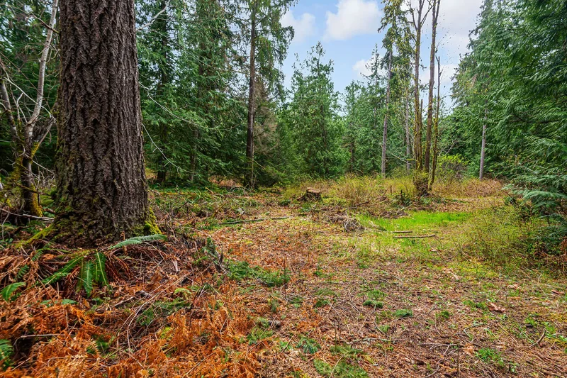 Lot 13 Island Highway West, Bowser, BC V0R 1G0, Nanaimo, British Columbia, Canada. - Photo 15