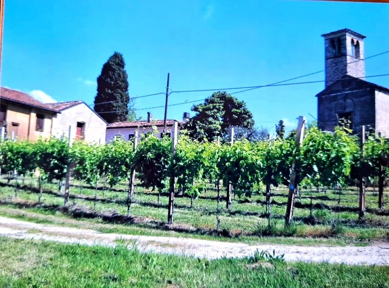 Valdobbiadene, Veneto, Italy. - Photo 11