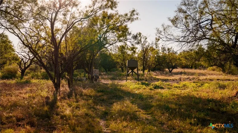 7702 Ranch Road 965, Llano, TX 78643, Llano, Texas, United States. - Photo 41