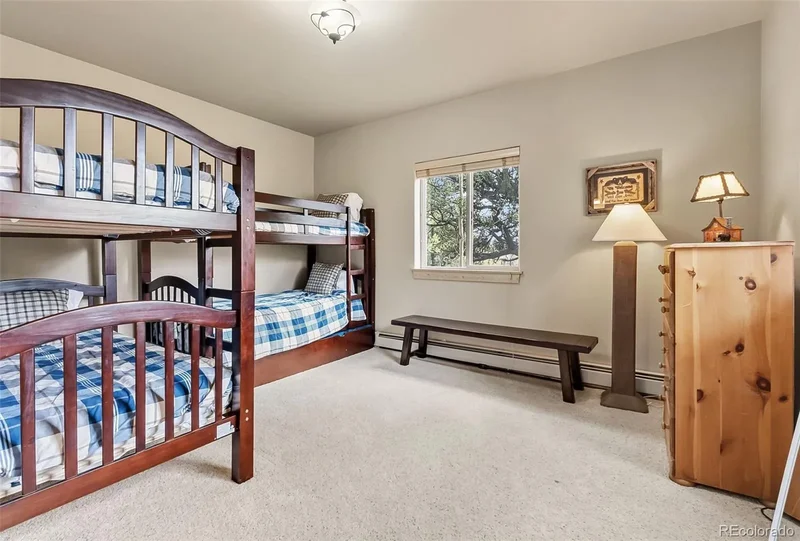 2649 Coil Drive, Fairplay, CO 80440, Fairplay, Colorado, United States. - Photo 15
