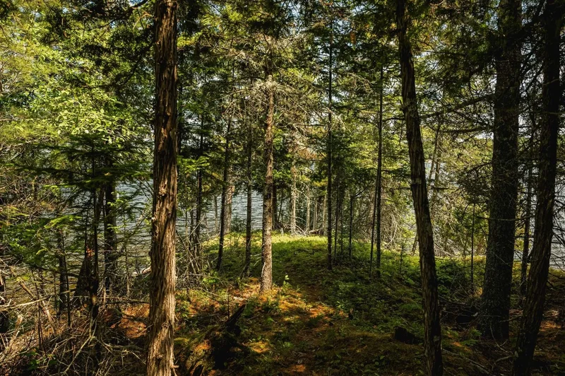 Lac-des-Plages, QC, J0T1K0, CANADA, Lac-des-Plages, Quebec, Canada. - Photo 32