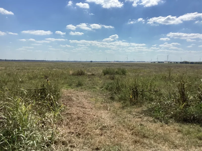 Tbd SW CR 3160, Dawson, TX 76639, Hubbard, Texas, United States. - Photo 4