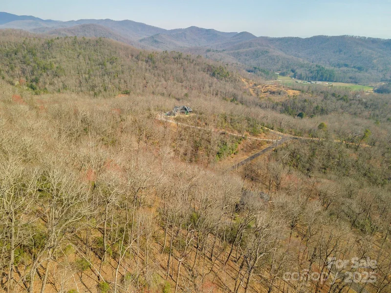 0 Shining Rock Path 11, Horse Shoe, North Carolina, United States. - Photo 23