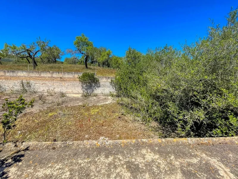 Arta, Balearic Islands, Spain. - Photo 12