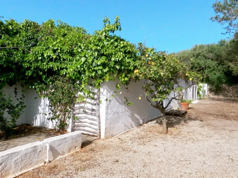 Ciutadella, Ciutadella de Menorca, BALEARES, Ciutadella de Menorca, Ciutadella de Menorca, Balearic Islands, Spain. - Photo 17