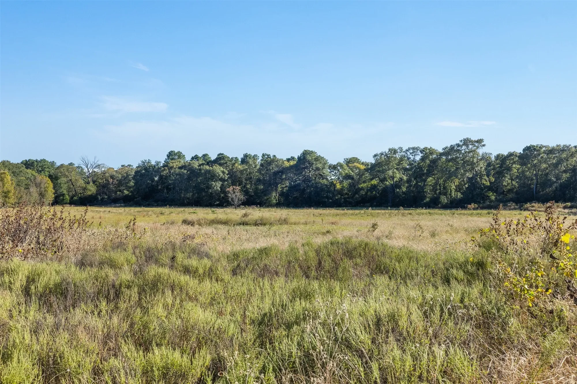 16121 Fm 2620 Road, Bedias, TX 77831, 77831, Texas, United States. - Photo 2
