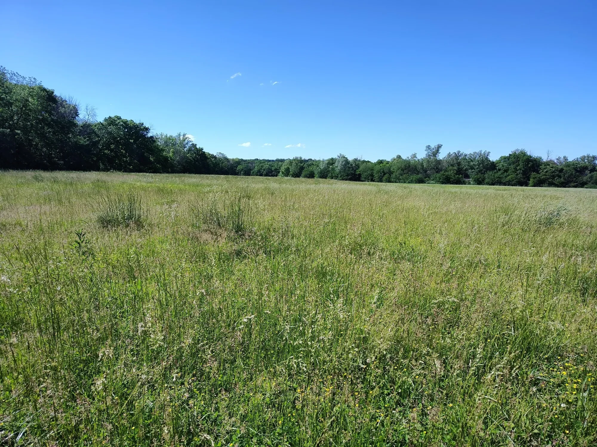 1898 E 332nd Road, Polk, MO 65727, Bolivar, Missouri, United States. - Photo 81