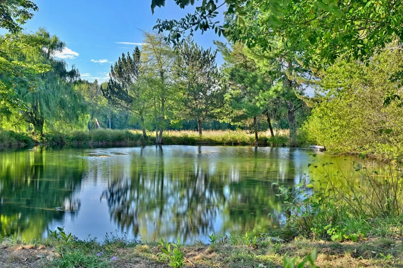 3900 Holland Loop Road, Cave Junction, Oregon, United States. - Photo 11